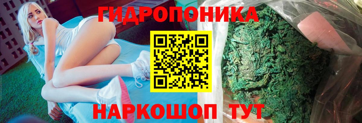 Каннабис ГИДРОПОН  Вход с VPN  Марихуана сатива  Марихуана марихуана  Бор 