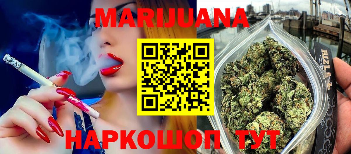 Бошки Шишки планчик Бор